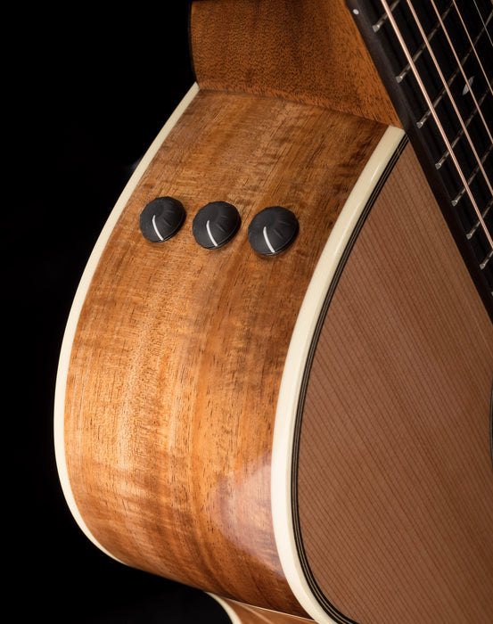 Taylor 514ce LTD Blackwood Acoustic Electric Guitar With Case