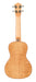 Lanikai FM-C Flame Maple Concert Ukulele