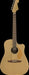 Fender Redondo Player Acoustic Electric Guitar - Bronze Satin with Bag