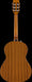 Fender CN-60S Nylon String Classical Acoustic Guitar