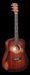 Martin DJR-10E StreetMaster Acoustic Guitar