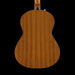 Fender CN-60S Nylon String Classical Acoustic Guitar