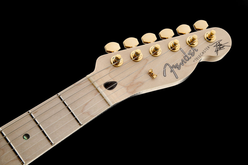 Fender Richie Kotzen Telecaster Maple Fingerboard Brown Sunburst Electric Guitar