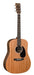 DISC - Martin DX2AE Macassar Acoustic Guitar - Natural