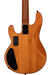 Sterling by Music Man StingRay HH RAY34HH Poplar Burl Bass With Gig Bag