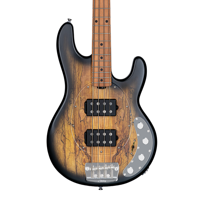 Sterling by Music Man StringRay HH Spalted Maple Top Natural Burst Stain