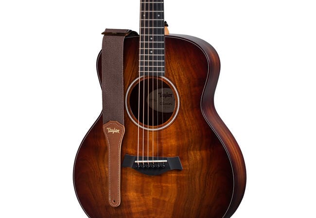 Taylor GS Mini Strap Black Cotton 2"