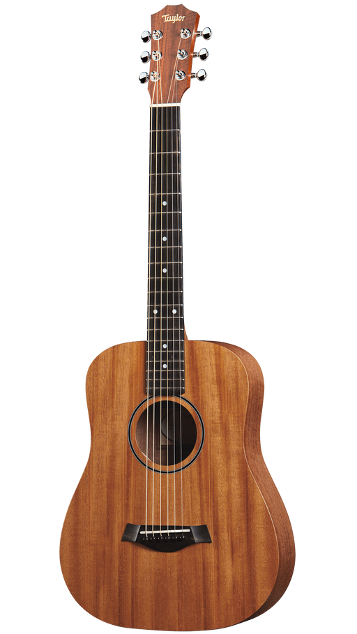 Taylor BT2 Acoustic Guitar