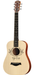 Taylor TS-BT Acoustic Guitar