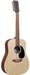 Martin D-X2E 12-String Mahogany Acoustic Electric Guitar With Bag