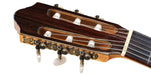 Kremona Soloist Series F65C Solid Cedar Top Nylon String Classical Acoustic Guitar With Bag