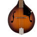 Fender PM-180E Mandolin, Walnut Fingerboard, Aged Cognac Burst Folk Instruments