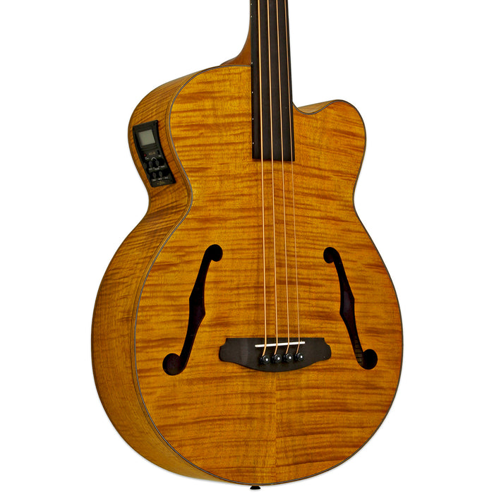 Aria FEB-F2/FL-STBR Full Scale Fretless Stained Brown Acoustic Bass