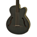 Aria FEBF2M-FL Medium Scale Fretless Stained Black Acoustic Bass
