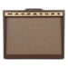 Magnatone Varsity Reverb 1x12 Guitar Amp Combo